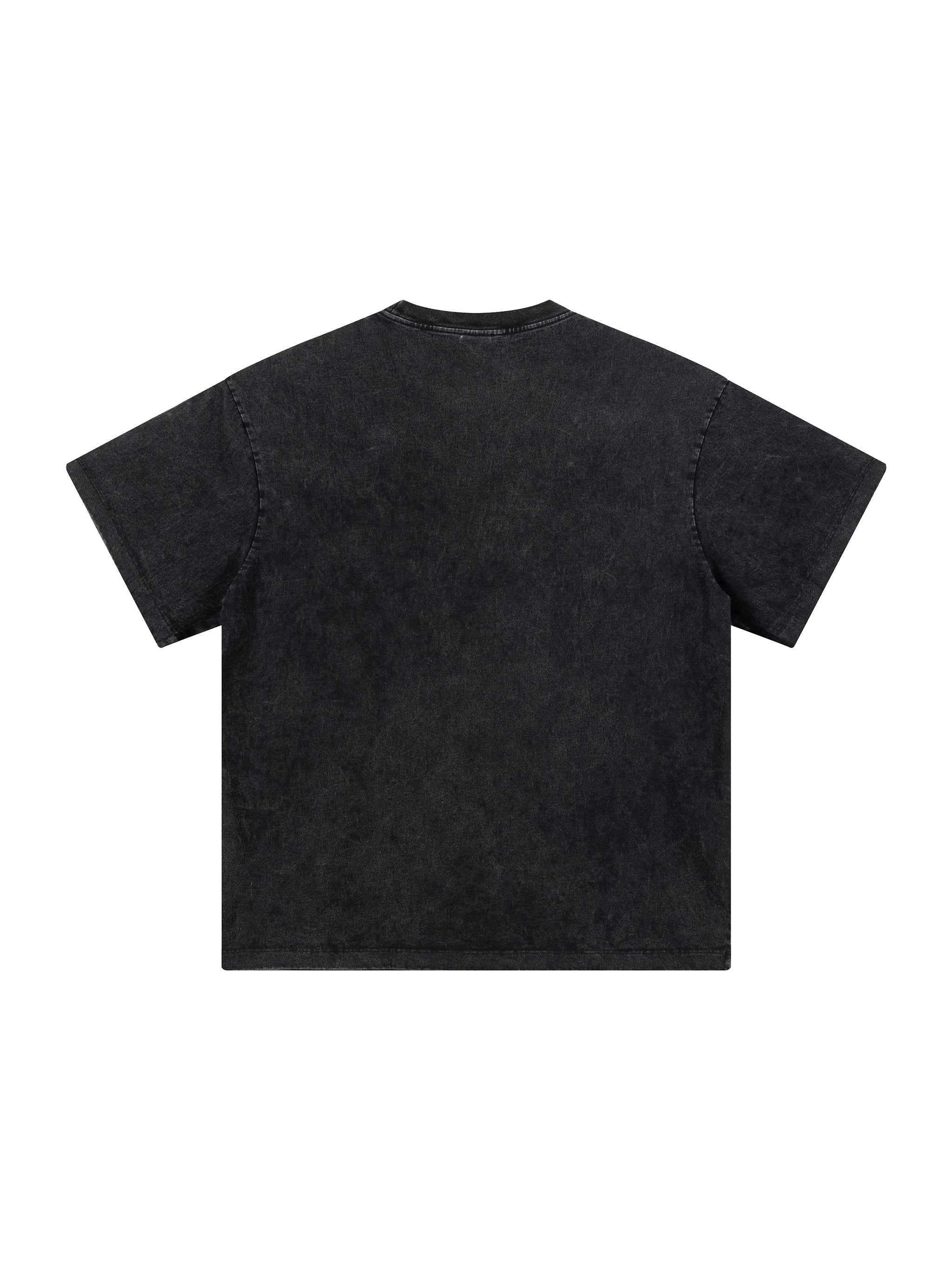 Heavyweight Snow Washed T-Shirt